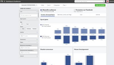 Rapport Facebook Audience Insight