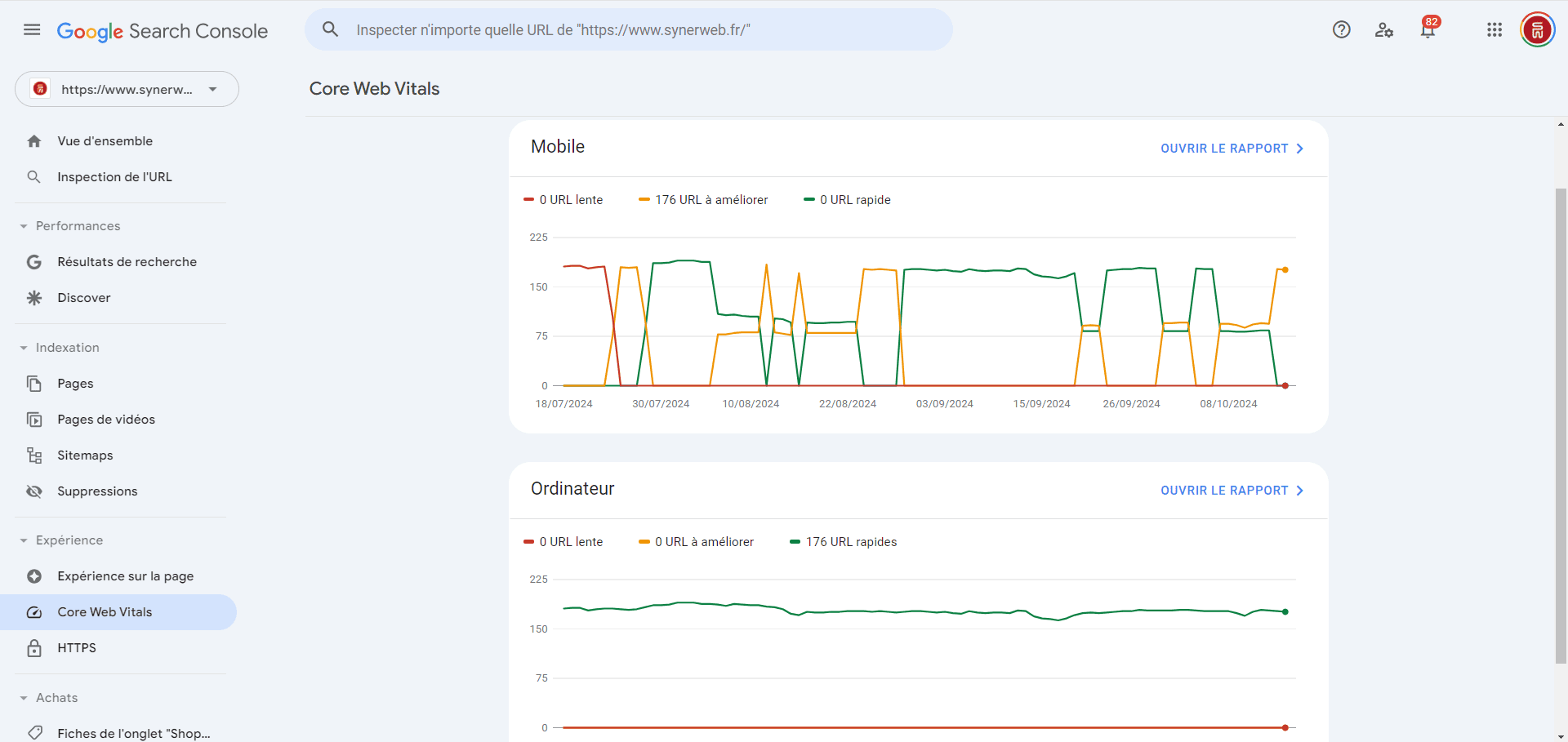Rapport sur les Core Web Vitals pour les performances mobile et desktop – Capture d’écran SYNERWEB