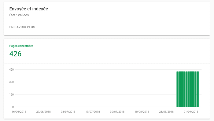 La nouvelle Google Search Console, exemple de rapport Couverture de l'indexation, liste des pages envoyées et indexées 