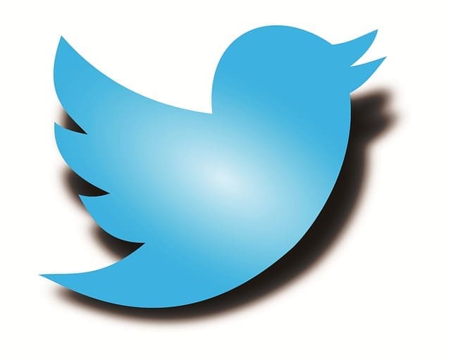 Logo Twitter