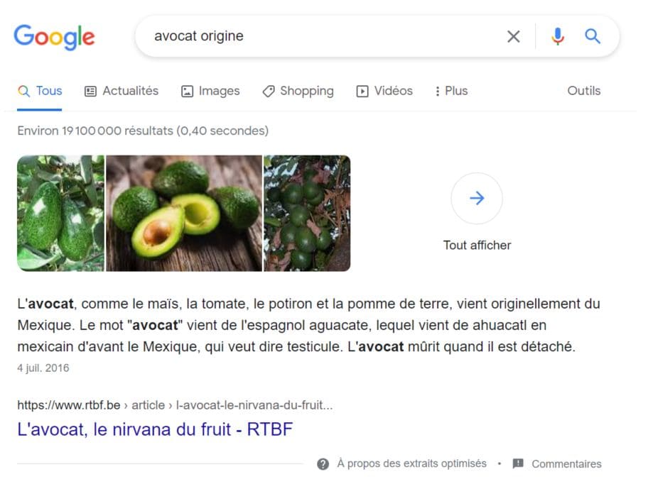 Page de résultats Google pour la requête "avocat origine"