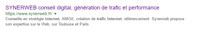 Meta Description optimisée et correspondant aux mots-clés recherchés, affichée sans modification dans les résultats de Google