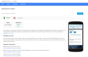 L'interface de l'outil Google PageSpeed Insghts