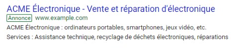 Extrait d'une annonce Adwords avec un extension centrée sur les différents services proposés